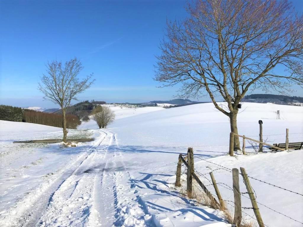 Villa Sauerlaender Henne-Luett Meschede Esterno foto