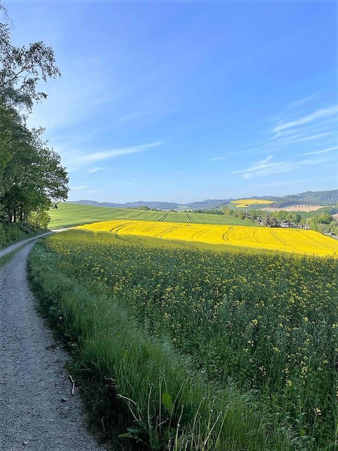Villa Sauerlaender Henne-Luett Meschede Esterno foto